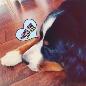 Meet your Posher, Nayoung